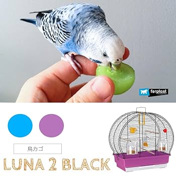 Amazon | イタリアferplast社製 鳥かご ルナ 2 ブラック Luna 2
